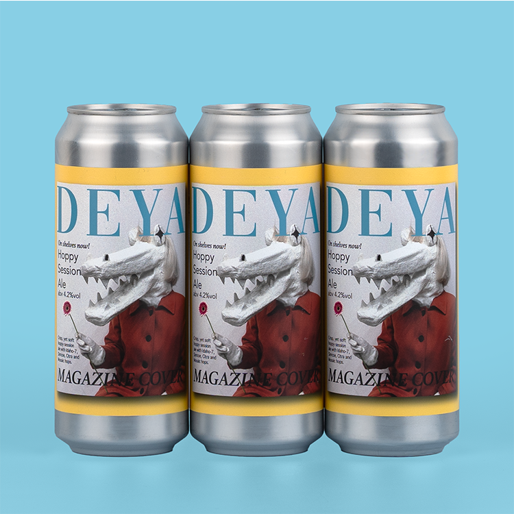 3 x 500ML can of DEYA Magazine Cover Pale Ale