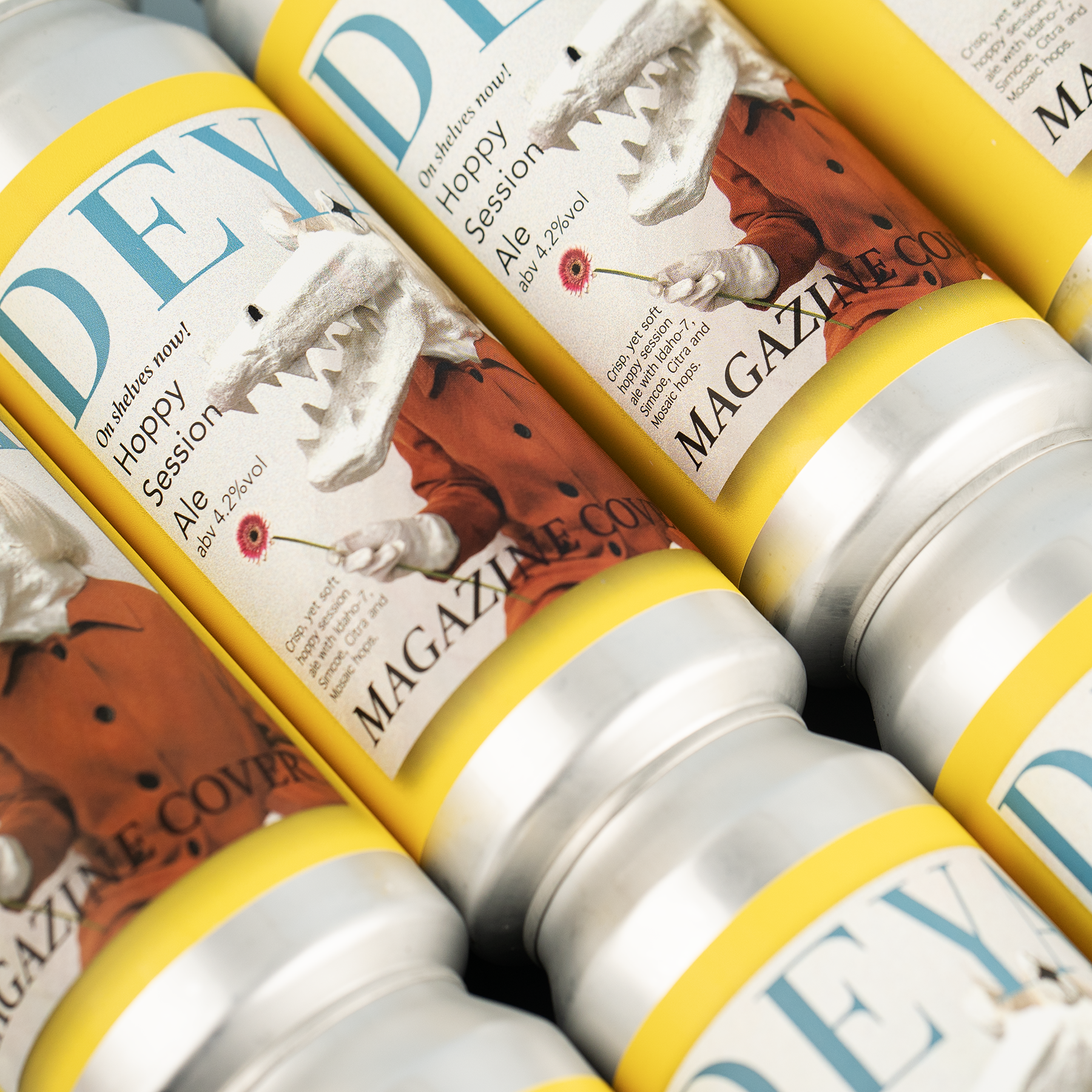 6 x 500ML can of DEYA Magazine Cover Pale Ale