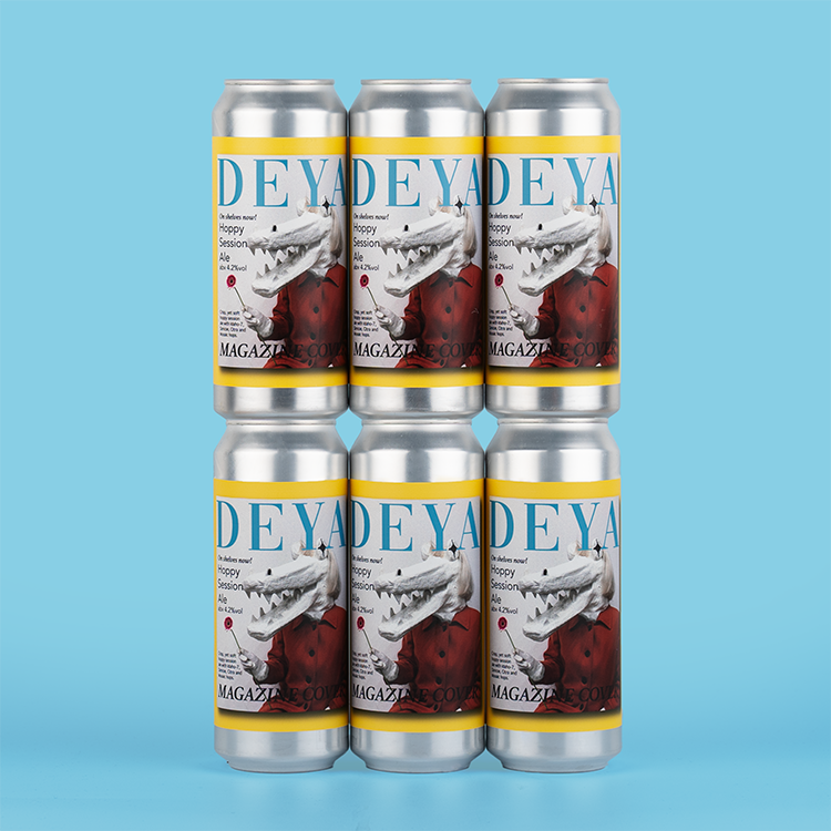 6 x 500ML can of DEYA Magazine Cover Pale Ale